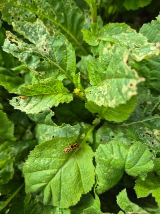 이정민님의 자유주제 · 사진전 작성글 사진