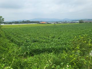 최상희님의 자유주제 · 자유게시판 작성글 사진