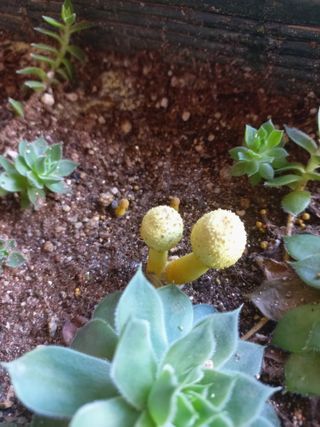 박린님의 자유주제 · 자유게시판 작성글 사진