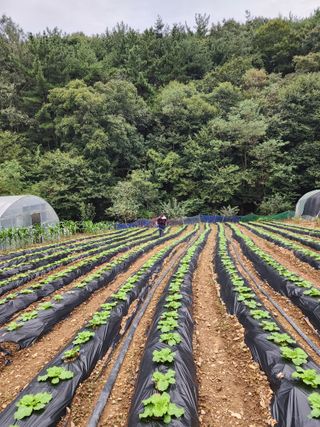 엘림농장님의 자유주제 · 칭찬해요 작성글 사진