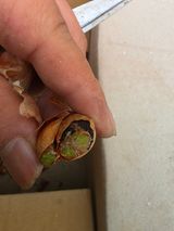 팜모닝 자유주제·자유게시판 게시글 이미지