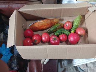 알 수 없음님의 자유주제 · 자유게시판 작성글 사진