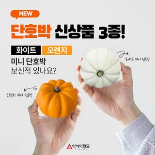 아시아종묘님의 자유주제 · 자유게시판 작성글 사진