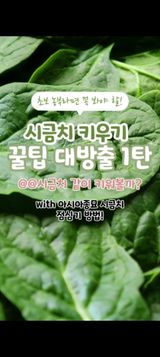 팜모닝 자유주제·자유게시판 게시글 이미지