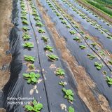 팜모닝 자유주제·자유게시판 게시글 이미지