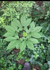 팜모닝 자유주제·자유게시판 게시글 이미지