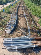 팜모닝 자유주제·자유게시판 게시글 이미지