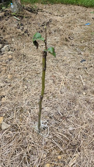 구라파님의 자유주제 · 자유게시판 작성글 사진