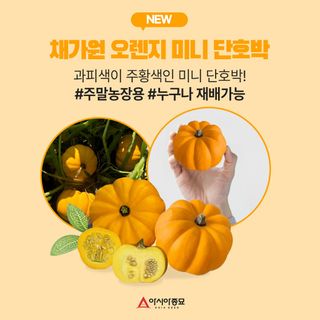 아시아종묘님의 자유주제 · 자유게시판 작성글 사진