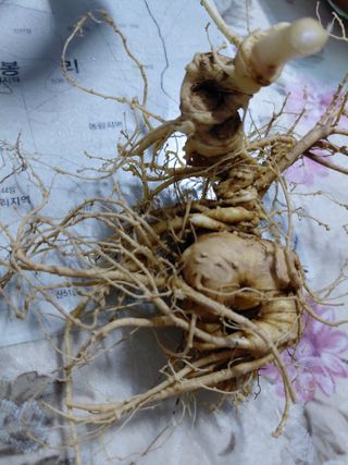 좋은인연원님의 자유주제 · 자유게시판 작성글 사진