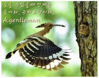 젠틀맨님의 자유주제 · 자유게시판 작성글 사진