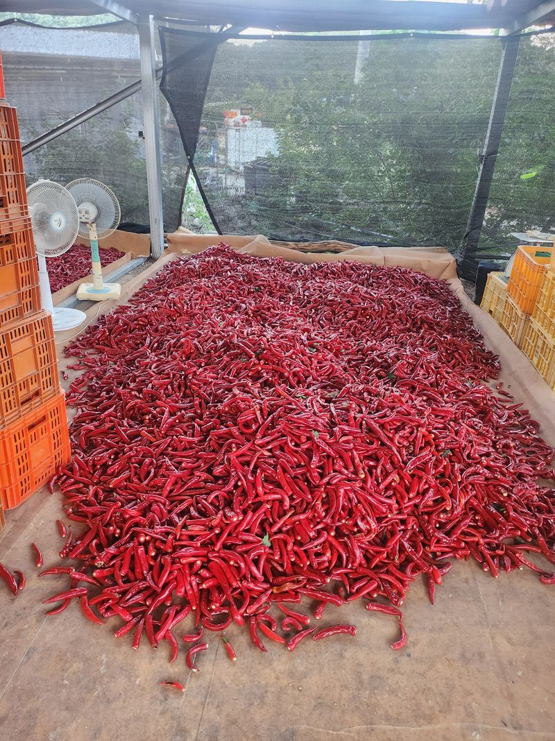 장터 상품 [고춧가루 600g] 썸네일