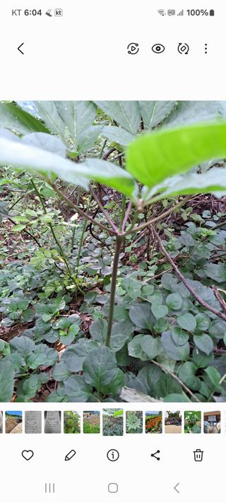 좋은인연원님의 자유주제 · 자유게시판 작성글 사진