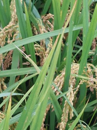 재연농장님의 자유주제 · 자유게시판 작성글 사진