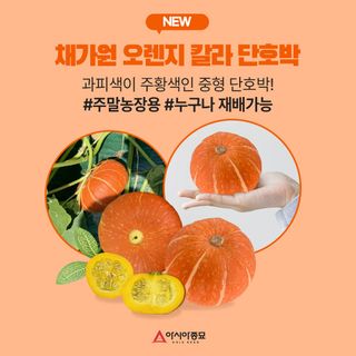 아시아종묘님의 자유주제 · 자유게시판 작성글 사진