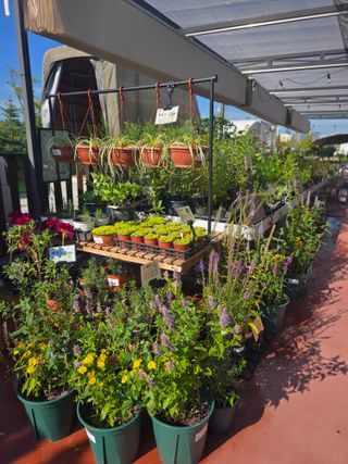 약초원 김종군님의 자유주제 · 자유게시판 작성글 사진