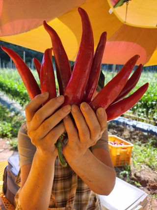 갈마골님의 작성글 사진
