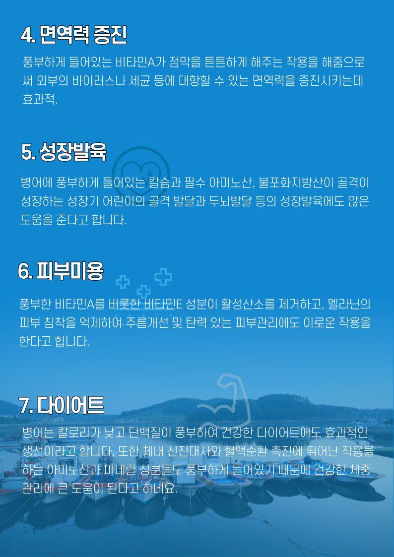 김진국님의 장터 판매 상품 [완도 국내 자연산 덕자병어(생물기준 대형 300g 특대 500g 특특대형 700g 전후)제수용] 첨부 사진