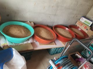 김영복님의 작성글 사진