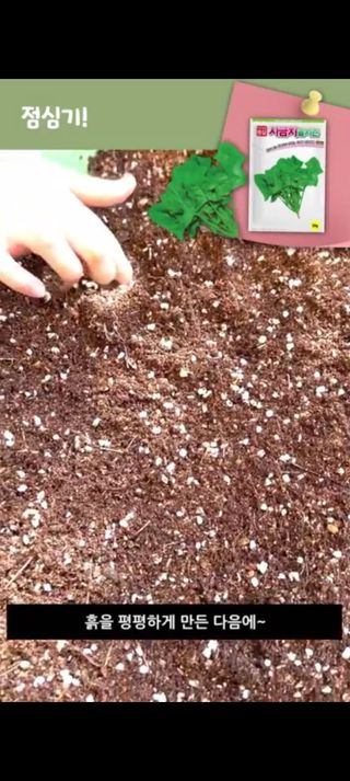 아시아종묘님의 자유주제 · 자유게시판 작성글 사진