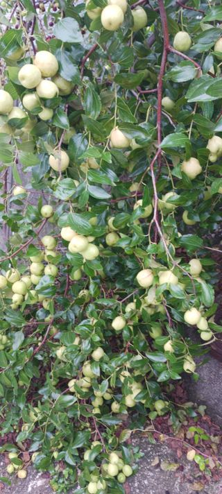 테리우스님의 자유주제 · 자유게시판 작성글 사진