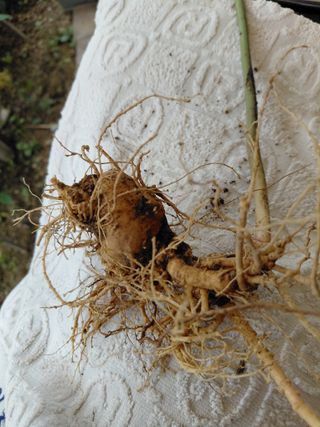 좋은인연원님의 자유주제 · 자유게시판 작성글 사진