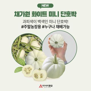 아시아종묘님의 자유주제 · 자유게시판 작성글 사진