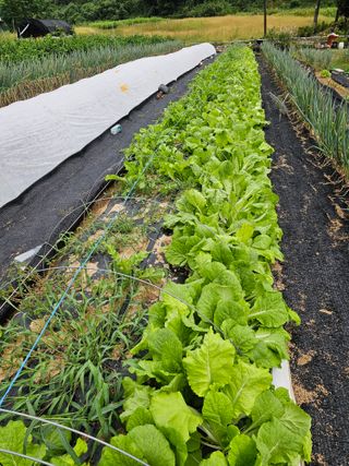 최연재님의 자유주제 · 자유게시판 작성글 사진