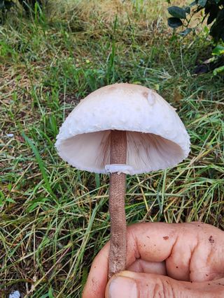 제주부자팜님의 자유주제 · 자유게시판 작성글 사진