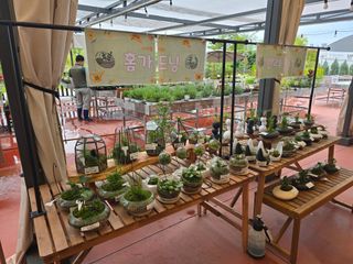 약초원 김종군님의 자유주제 · 자유게시판 작성글 사진
