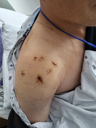 신현국 님의 자유주제 · 사진전 작성글 사진