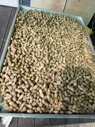 사랑으로님의 작성글 사진