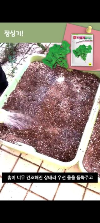 아시아종묘님의 자유주제 · 자유게시판 작성글 사진