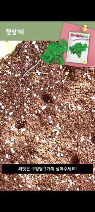 아시아종묘님의 자유주제 · 자유게시판 작성글 사진