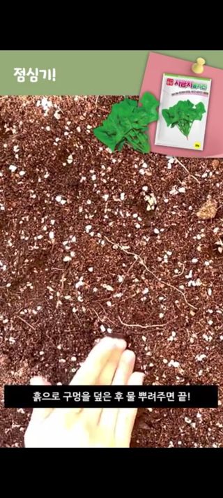 아시아종묘님의 자유주제 · 자유게시판 작성글 사진