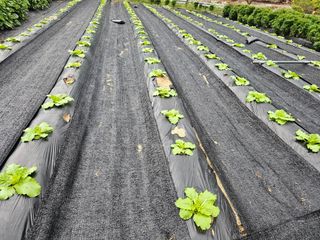 최연재님의 자유주제 · 자유게시판 작성글 사진