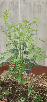 팜모닝 자유주제·자유게시판 게시글 이미지