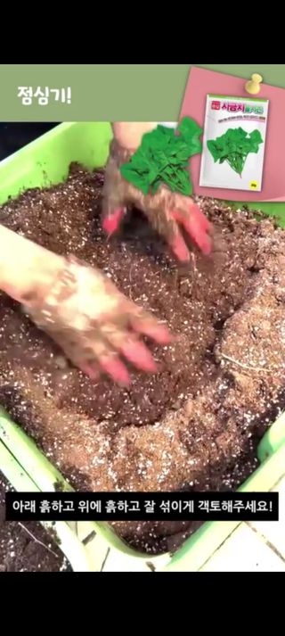 아시아종묘님의 자유주제 · 자유게시판 작성글 사진