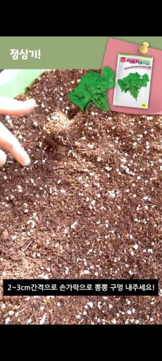 아시아종묘님의 자유주제 · 자유게시판 작성글 사진