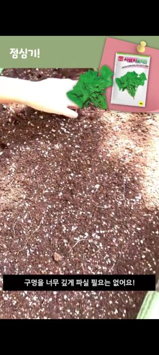 아시아종묘님의 자유주제 · 자유게시판 작성글 사진