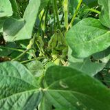 팜모닝 자유주제·자유게시판 게시글 이미지