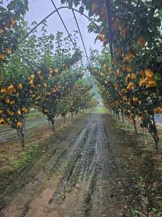 조영민님의 자유주제 · 자유게시판 작성글 사진