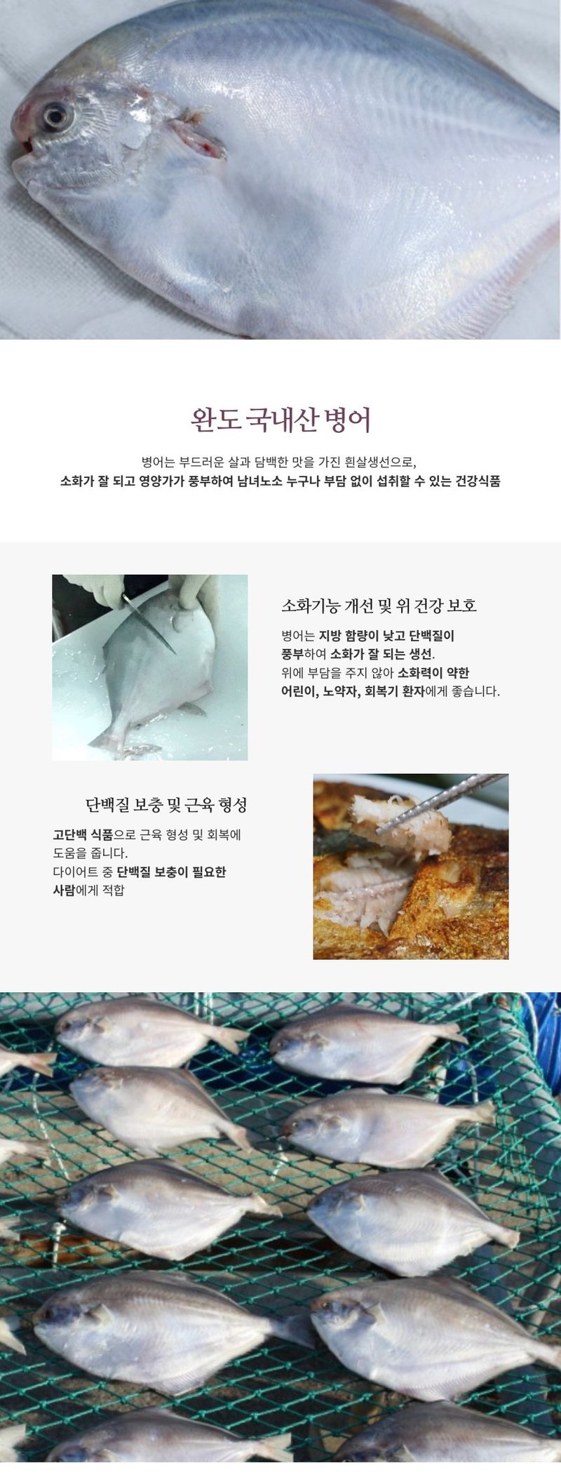 김진국님의 장터 판매 상품 [완도 국내 자연산 덕자병어(생물기준 대형 300g 특대 500g 특특대형 700g 전후)제수용] 첨부 사진