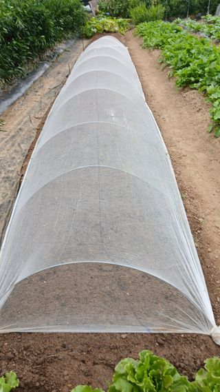 초보텃밭님의 자유주제 · 자유게시판 작성글 사진