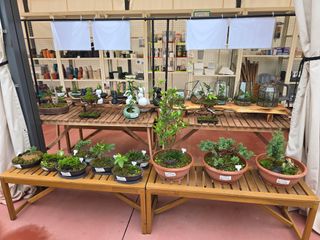 약초원 김종군님의 자유주제 · 자유게시판 작성글 사진