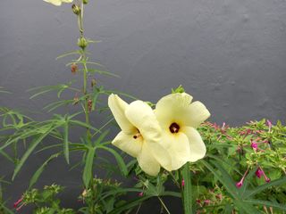 연향님의 작성글 사진