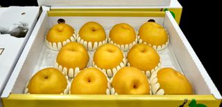 농부손녀님의 작성글 사진