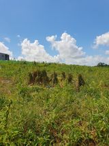 팜모닝 자유주제·자유게시판 게시글 이미지