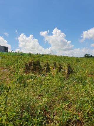 고사리9794님의 자유주제 · 자유게시판 작성글 사진