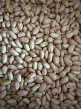 팜모닝 자유주제·자유게시판 게시글 이미지